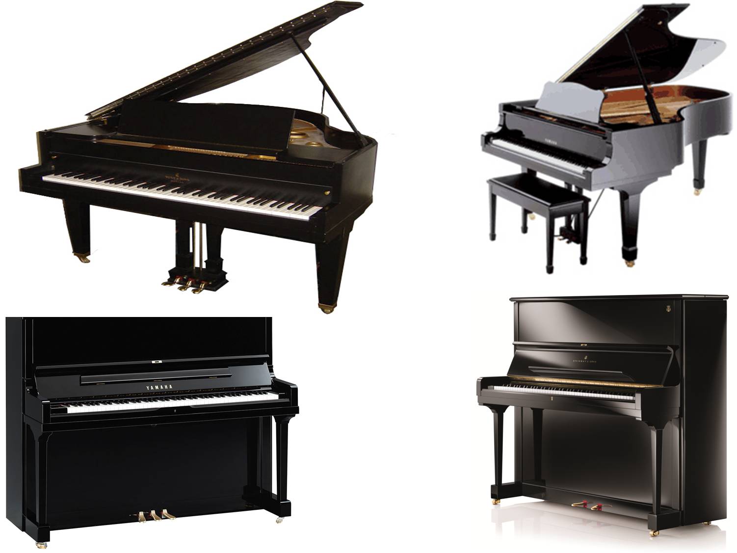 best piano on rent navi-mumbai